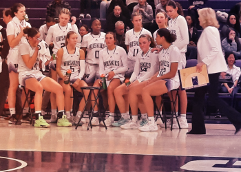 Game Recap: Another Blowout Victory as UW WBB Huskies Defeat Pacific, 81-50